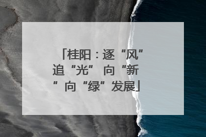 桂阳：逐“风”追“光” 向“新”向“绿”发展