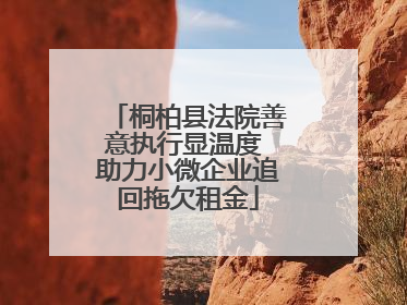 桐柏县法院善意执行显温度 助力小微企业追回拖欠租金