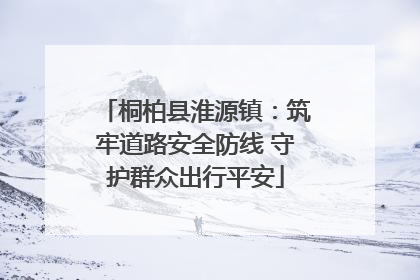 桐柏县淮源镇：筑牢道路安全防线 守护群众出行平安