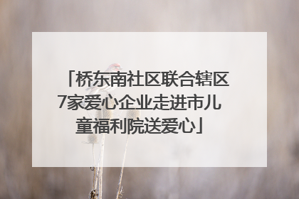 桥东南社区联合辖区7家爱心企业走进市儿童福利院送爱心