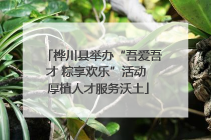桦川县举办“吾爱吾才 粽享欢乐”活动 厚植人才服务沃土