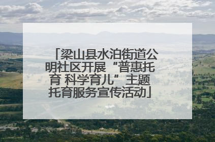 梁山县水泊街道公明社区开展“普惠托育 科学育儿”主题托育服务宣传活动