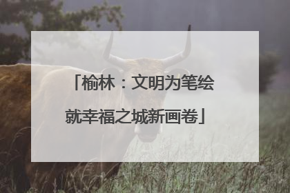 榆林：文明为笔绘就幸福之城新画卷
