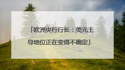 欧洲央行行长：美元主导地位正在变得不确定