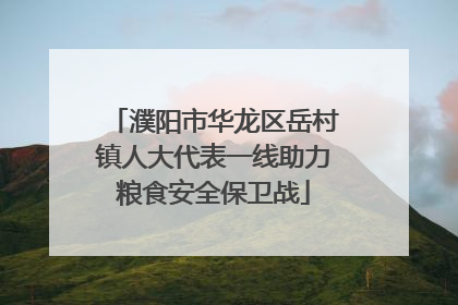 濮阳市华龙区岳村镇人大代表一线助力粮食安全保卫战