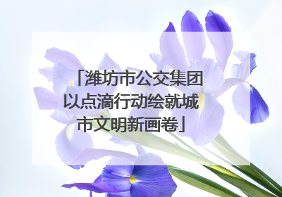 潍坊市公交集团以点滴行动绘就城市文明新画卷