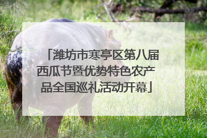 潍坊市寒亭区第八届西瓜节暨优势特色农产品全国巡礼活动开幕