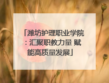 潍坊护理职业学院：汇聚职教力量 赋能高质量发展