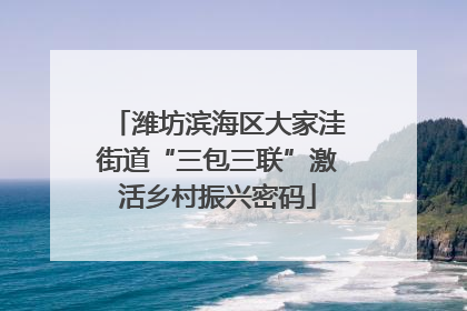 潍坊滨海区大家洼街道“三包三联”激活乡村振兴密码