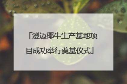 澄迈椰牛生产基地项目成功举行奠基仪式