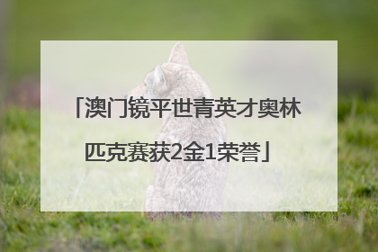 澳门镜平世青英才奥林匹克赛获2金1荣誉