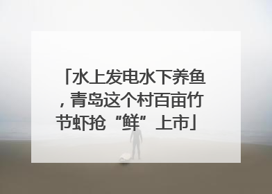 水上发电水下养鱼，青岛这个村百亩竹节虾抢“鲜”上市