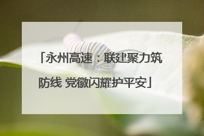 永州高速：联建聚力筑防线 党徽闪耀护平安
