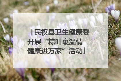 民权县卫生健康委开展“粽叶裹温情 健康进万家”活动