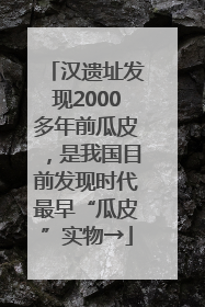 汉遗址发现2000多年前瓜皮，是我国目前发现时代最早“瓜皮”实物→