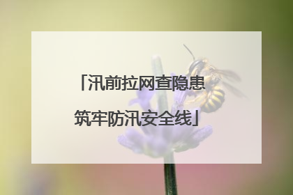 汛前拉网查隐患 筑牢防汛安全线