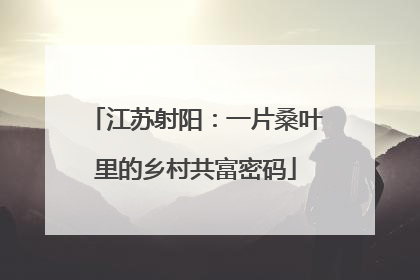 江苏射阳：一片桑叶里的乡村共富密码