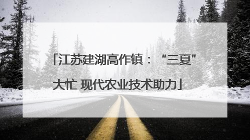 江苏建湖高作镇：“三夏”大忙 现代农业技术助力