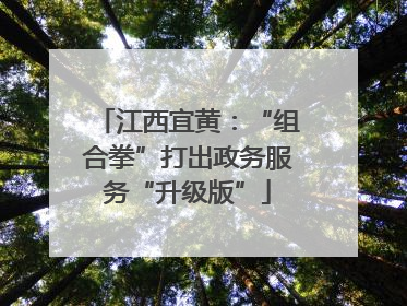 江西宜黄：“组合拳”打出政务服务“升级版”