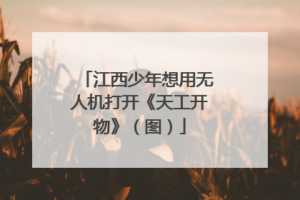 江西少年想用无人机打开《天工开物》（图）