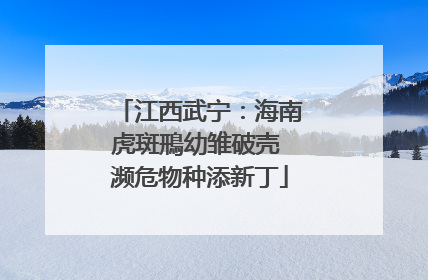 江西武宁：海南虎斑鳽幼雏破壳 濒危物种添新丁
