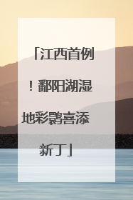 江西首例！鄱阳湖湿地彩鹮喜添新丁