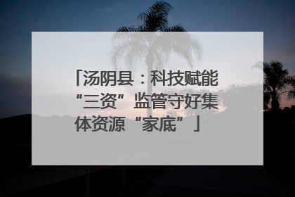 汤阴县：科技赋能“三资”监管守好集体资源“家底”