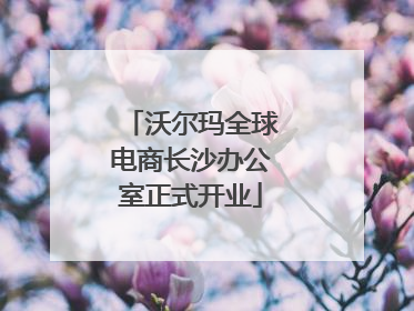 沃尔玛全球电商长沙办公室正式开业