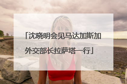 沈晓明会见马达加斯加外交部长拉萨塔一行