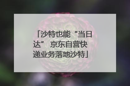 沙特也能“当日达” 京东自营快递业务落地沙特