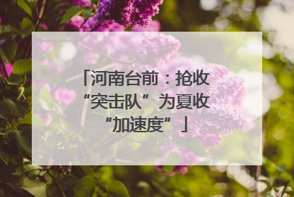 河南台前：抢收“突击队”为夏收“加速度”
