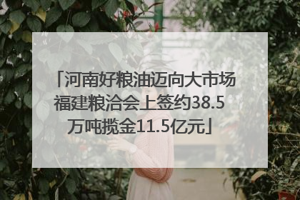 河南好粮油迈向大市场 福建粮洽会上签约38.5万吨揽金11.5亿元
