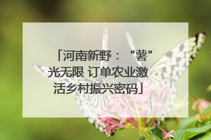 河南新野：“薯”光无限 订单农业激活乡村振兴密码