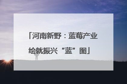 河南新野：蓝莓产业绘就振兴“蓝”图