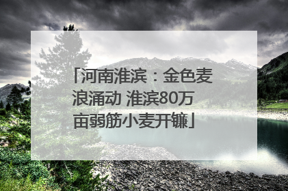 河南淮滨：金色麦浪涌动 淮滨80万亩弱筋小麦开镰