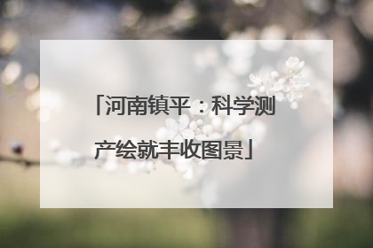 河南镇平：科学测产绘就丰收图景