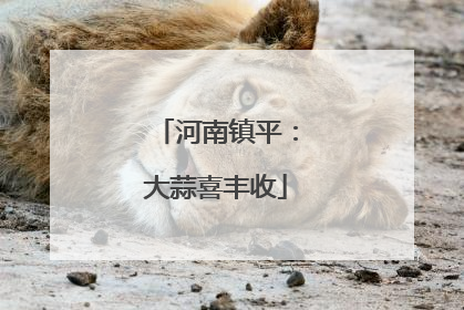 河南镇平：大蒜喜丰收