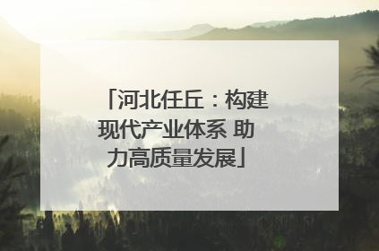 河北任丘：构建现代产业体系 助力高质量发展