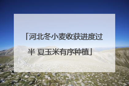 河北冬小麦收获进度过半 夏玉米有序种植
