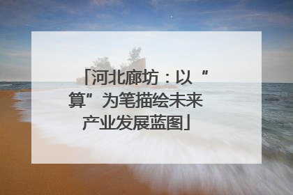 河北廊坊：以“算”为笔描绘未来产业发展蓝图