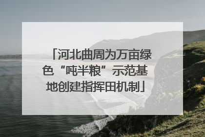 河北曲周为万亩绿色“吨半粮”示范基地创建指挥田机制