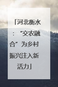 河北衡水：“交农融合”为乡村振兴注入新活力