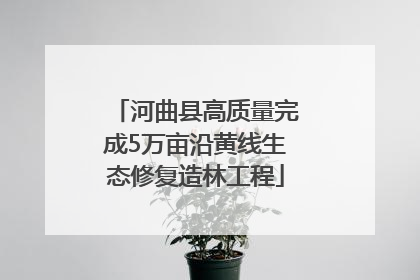 河曲县高质量完成5万亩沿黄线生态修复造林工程