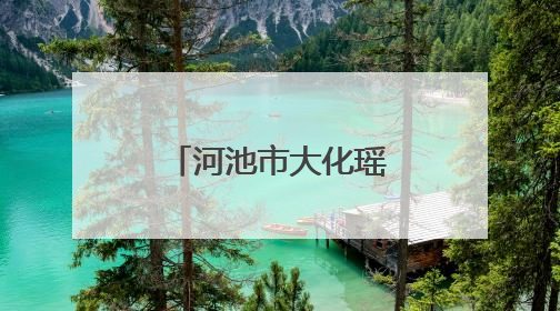 河池市大化瑶族自治县驻深圳宝安人力资源飞地工作站揭牌