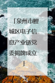 泉州市鲤城区电子信息产业链党委揭牌成立