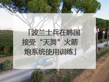 波兰士兵在韩国接受“天舞”火箭炮系统使用训练