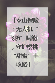 泰山保险：无人机“飞防”赋能，守护樱桃“甜蜜”丰收路