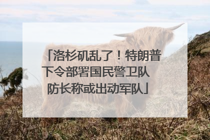 洛杉矶乱了！特朗普下令部署国民警卫队 防长称或出动军队