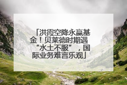 洪霞空降永赢基金！贝莱德时期遇“水土不服”，国际业务难言乐观