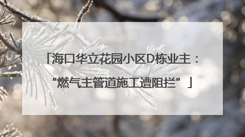 海口华立花园小区D栋业主：“燃气主管道施工遭阻拦”
